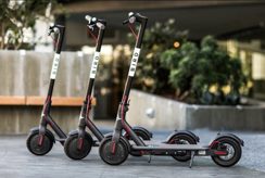 Bird eScooters