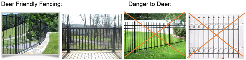 fencing examples