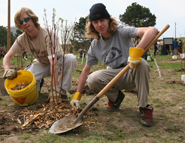 youth planting trees