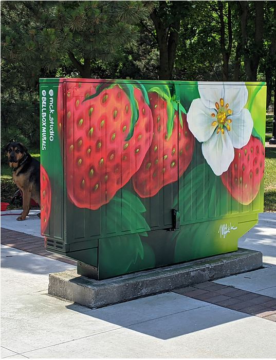 temporary mural “Strawberry bell box” by Meaghan Claire Kehoe located at corner of Valley Farm Rd and Diefenbaker Ct in Pickering.