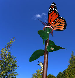 Butterfly on Sculpture