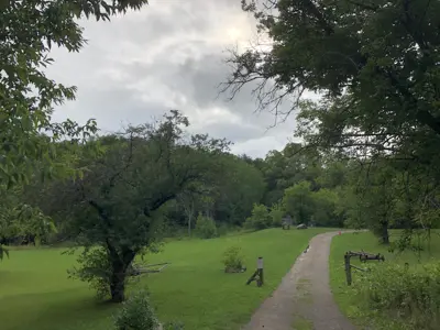 grass space with trees surrounding