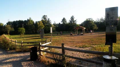 Dogs enjoying some leash free play time