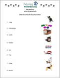 Matching Activity activity sheet