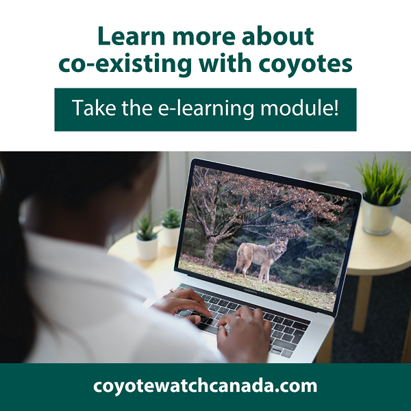 Coyote Watch Canada E-Learning Module